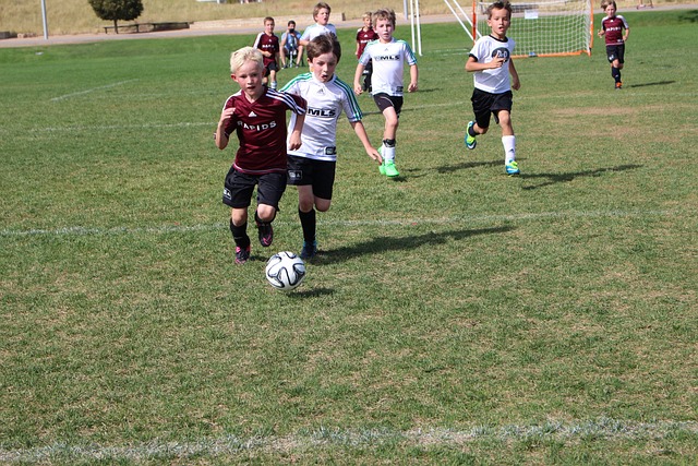 无疑是当今 无疑是当今