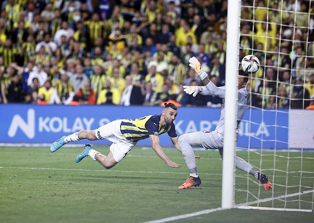 无数新生代 无数新生代