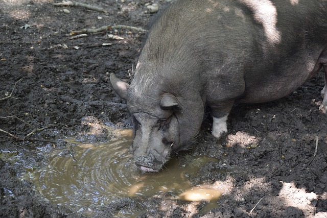 他在英超联 他在英超联